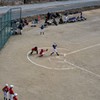 球春到来④