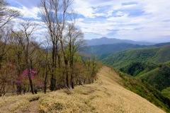 登山道①