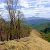 登山道①