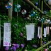 小野池あじさい公園②