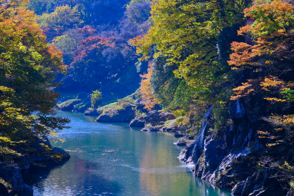 高津戸峡の紅葉①