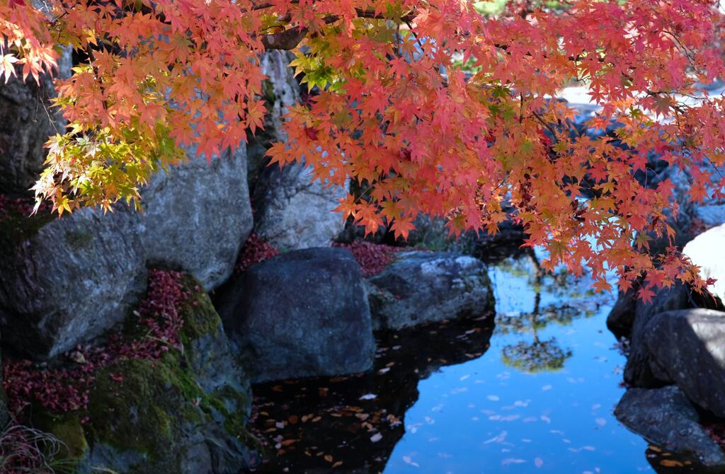 桜山公園⑥