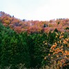 山里