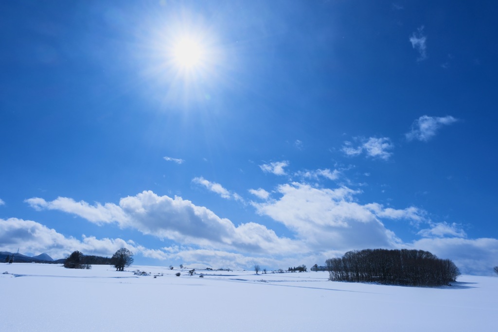 昭和村の雪景色①