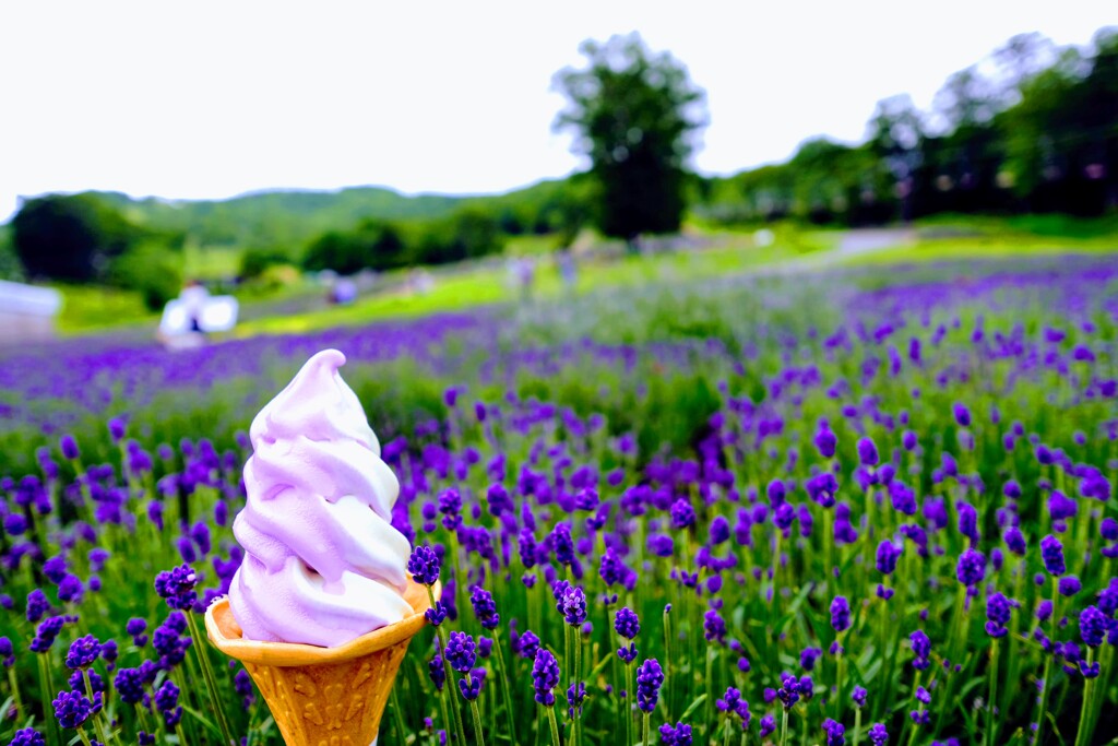 花よりソフトクリーム