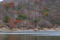 赤城山　小沼の紅葉③