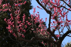 青空に映えて①