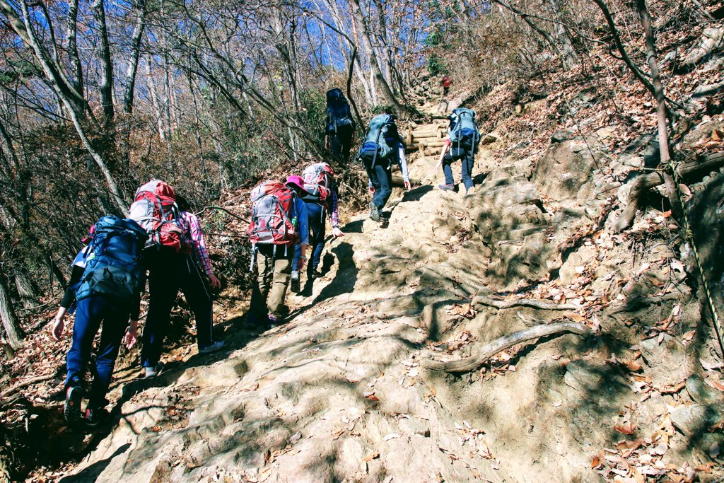 登山道
