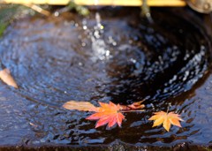 赤城自然園の紅葉⑥