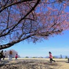休日満喫