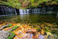 白糸の滝④