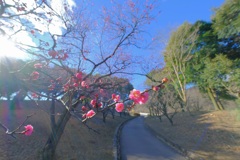 桐生南公園①