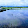 田園地帯