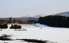 残雪④