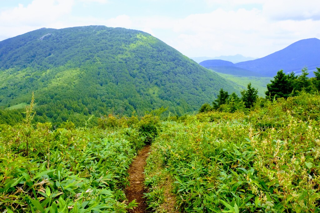 烏帽子山登山道
