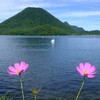 初秋の風②