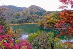 薗原ダム湖の紅葉⑤