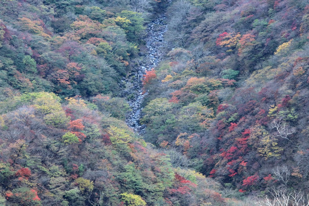 赤城山（黒檜山）からの眺望③