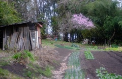 山里の農耕地