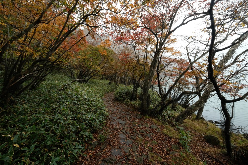 赤城山紅葉⑫