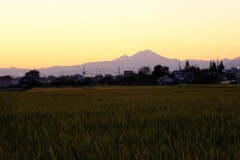 田園