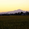 田園