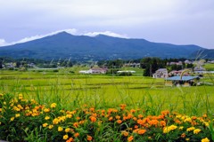 大玉村の景色③