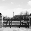 歴史ある小学校