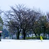 雪遊び