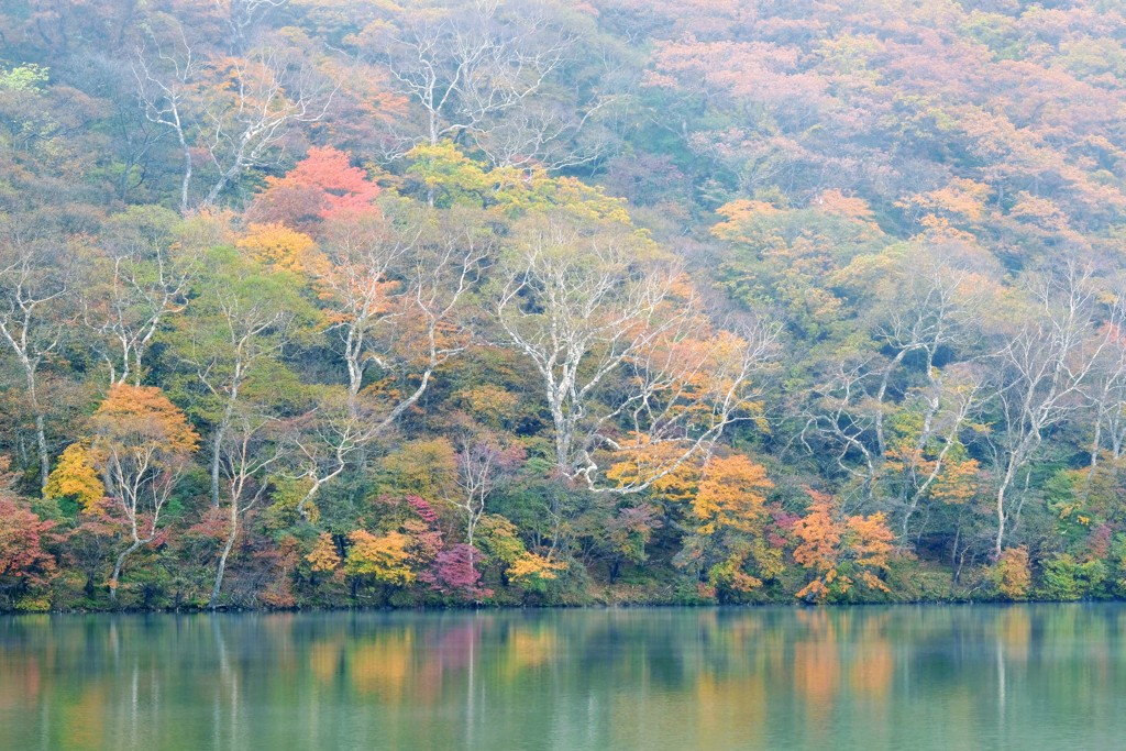 赤城山紅葉②