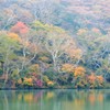 赤城山紅葉②