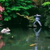 春の息吹③