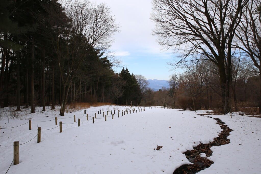 赤城自然園①