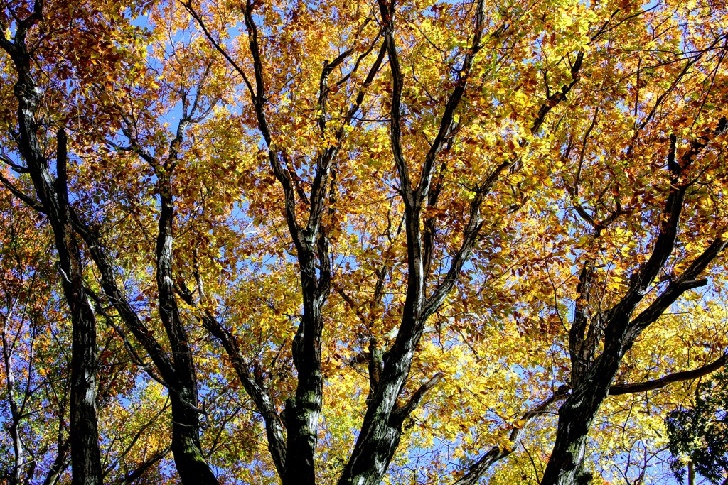 赤城自然園にて③