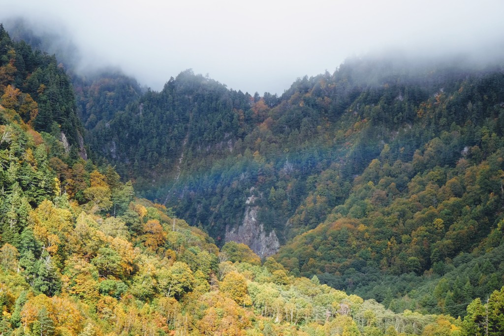 黒部の紅葉①