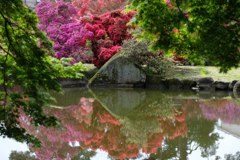 つつじが岡公園①