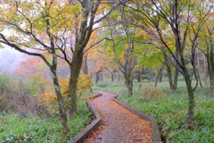 雨天の覚満淵②
