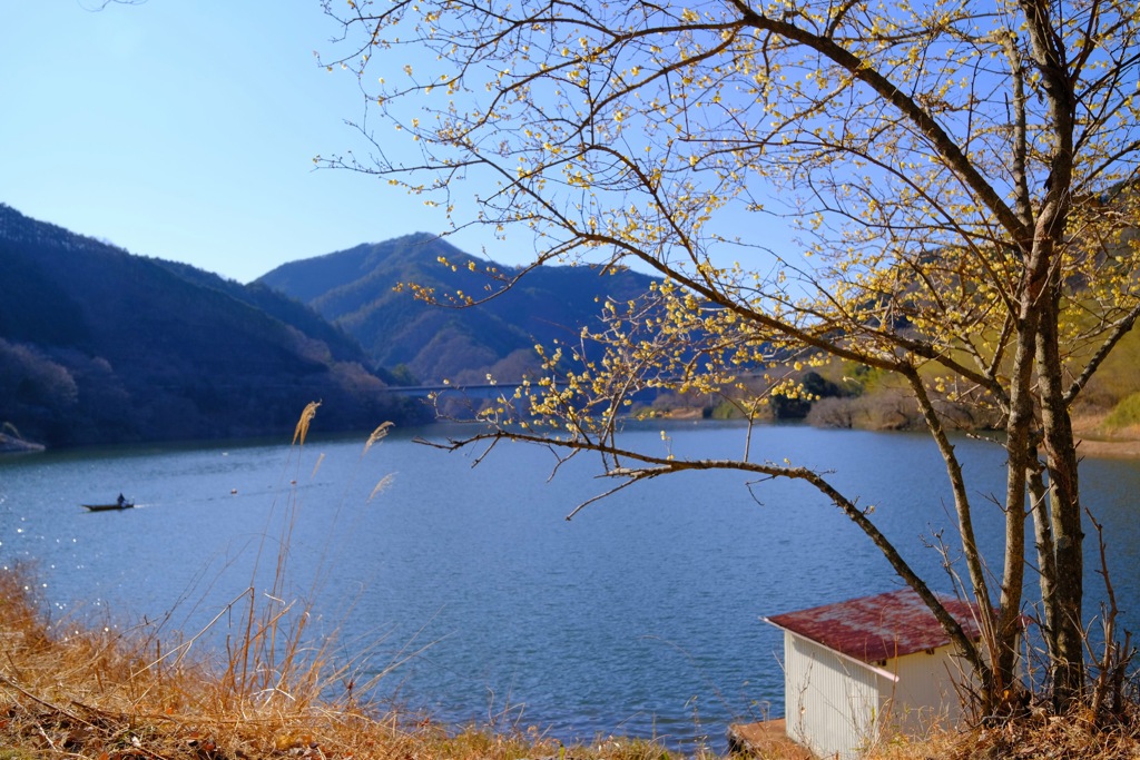 梅田湖ローバイパーク①