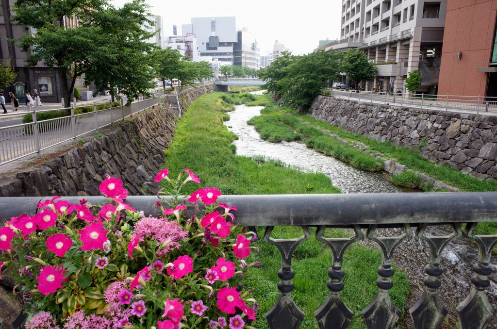 女鳥羽川