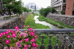 女鳥羽川
