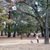ナイスショット