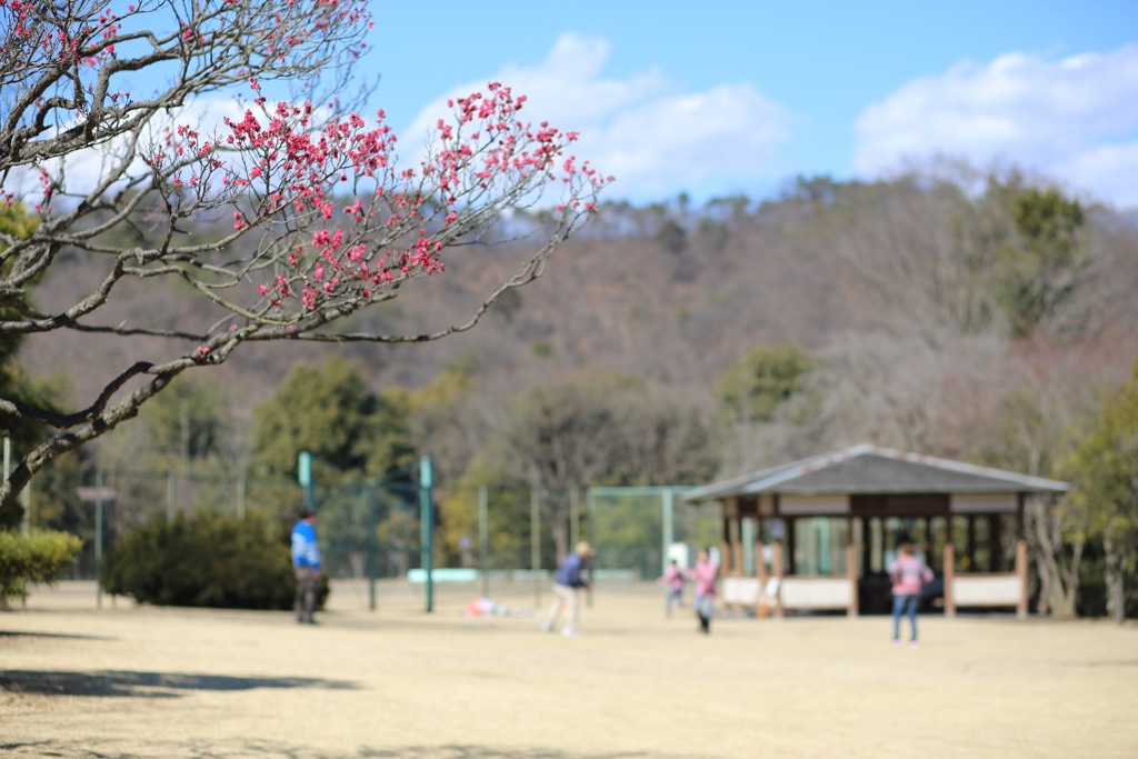 休日の桐生南公園⑧