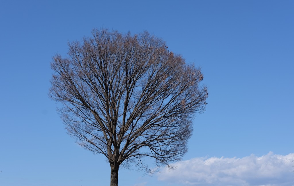 晴天①