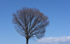 晴天①