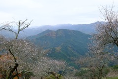 桜山公園⑧