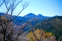 桜山公園⑤