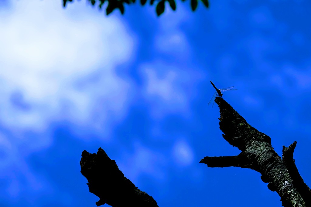 青空