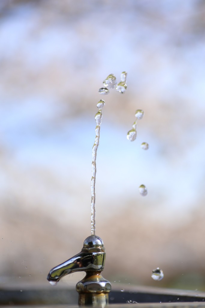 水遊び