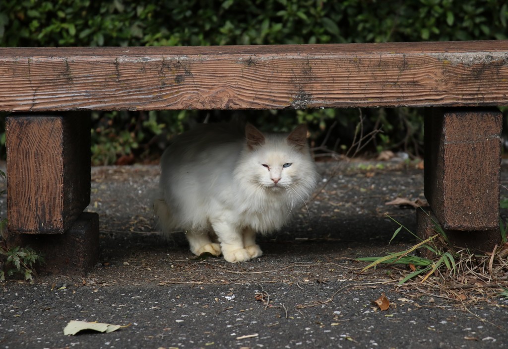 独り