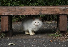 独り